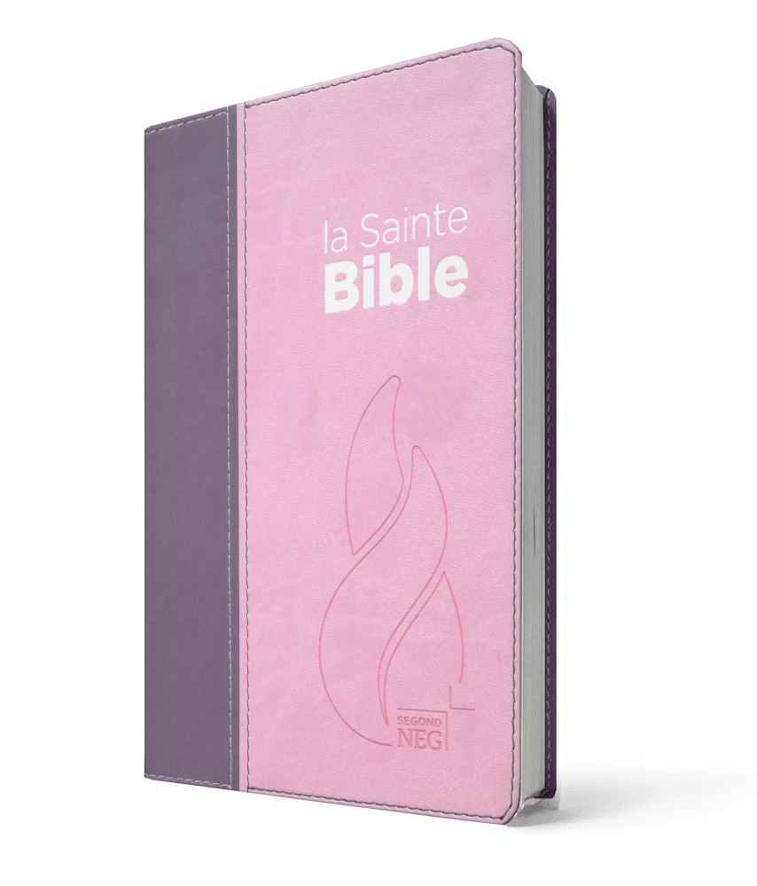 Bible NEG souple duo rose/violet
