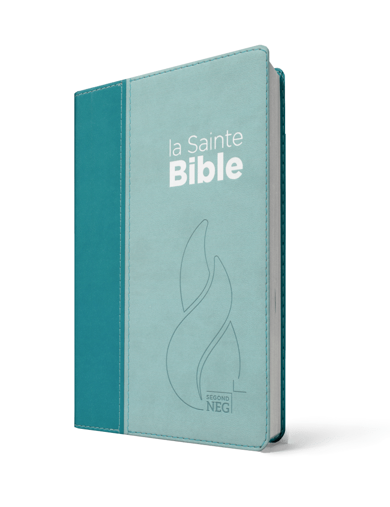 Bible NEG souple duo bleu