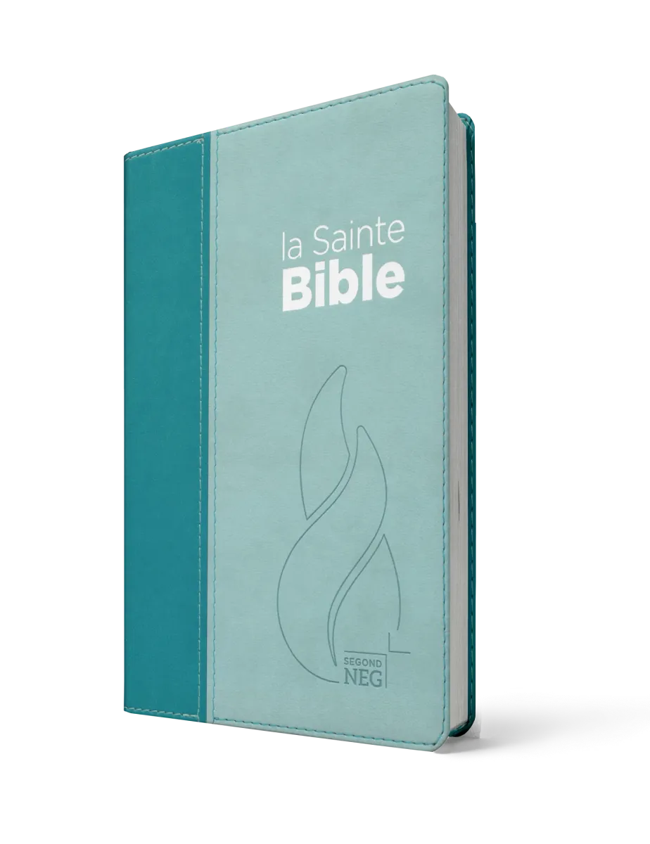 Bible NEG souple duo bleu