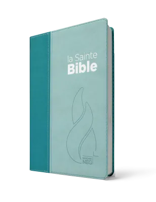 Bible NEG souple duo bleu
