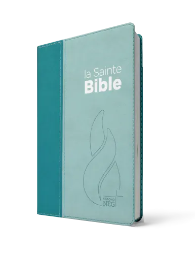 Bible NEG souple duo bleu