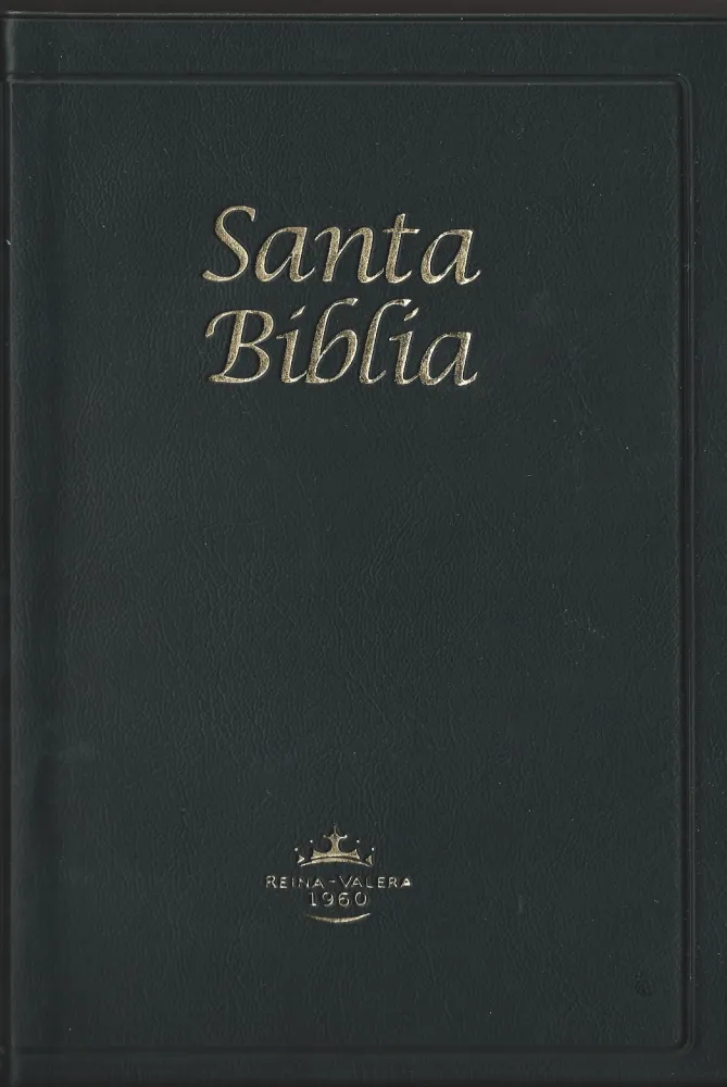 RVR 1960 Santa Biblia negro tapa dura