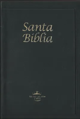 RVR 1960 Santa Biblia negro tapa dura