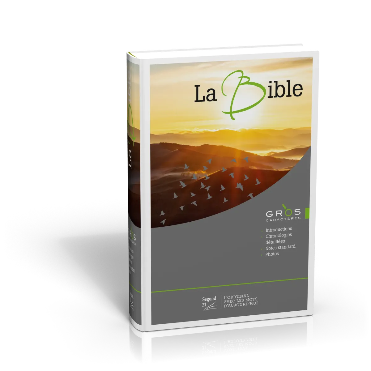 Bible SG21 gros caractères rigide illustrée