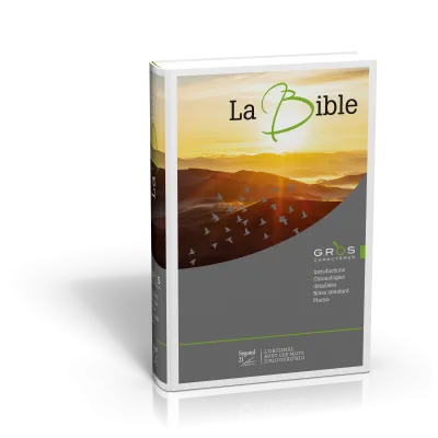 Bible SG21 gros caractères rigide illustrée