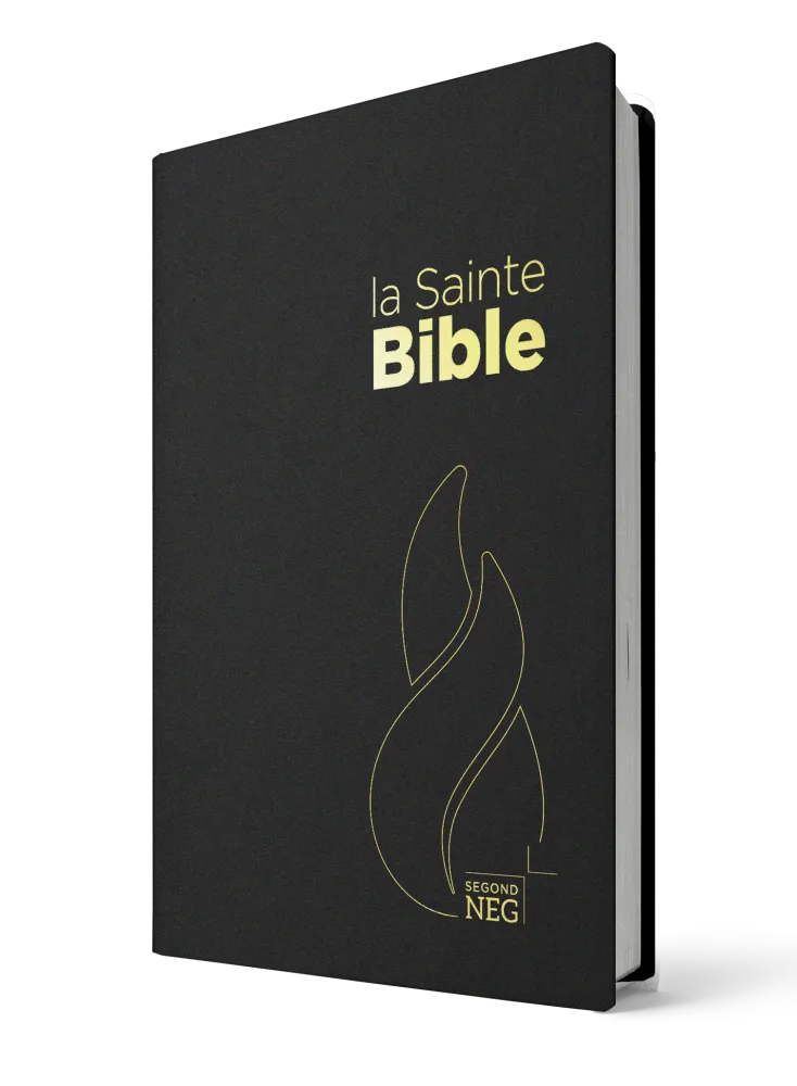 Bible NEG souple noir