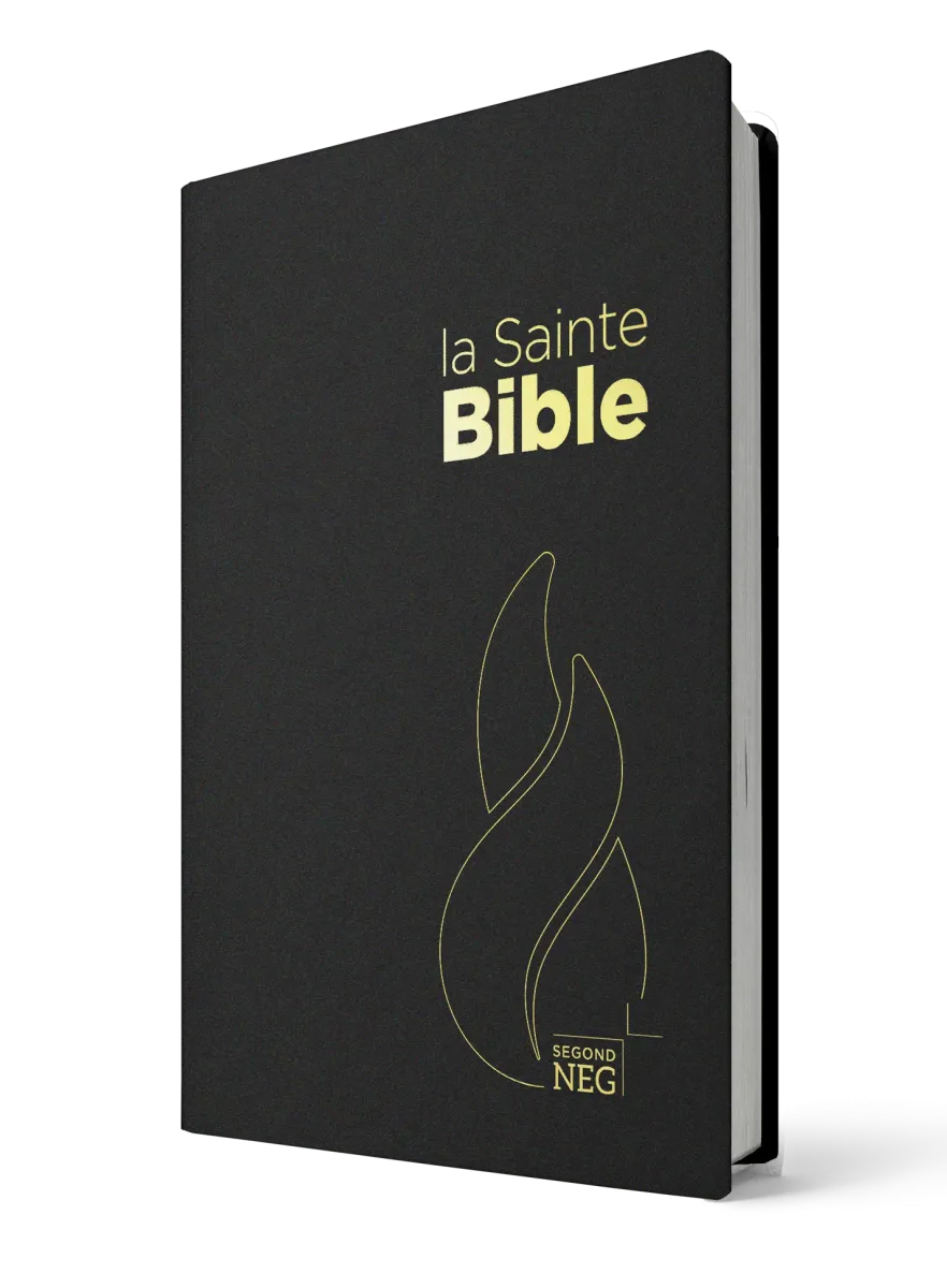 Bible NEG souple noir