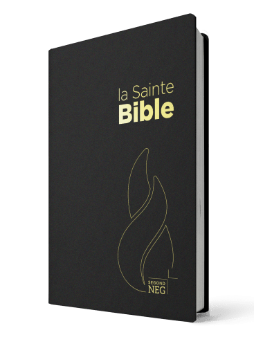 Bible NEG souple noir