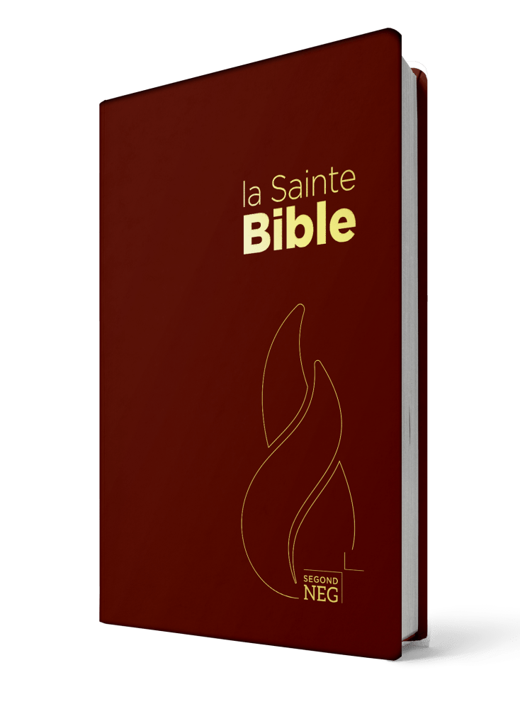 Bible NEG souple grenat