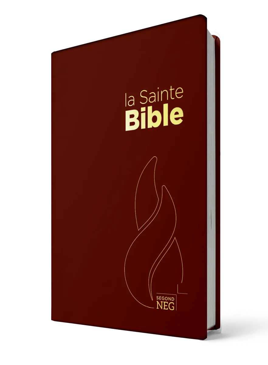 Bible NEG souple grenat