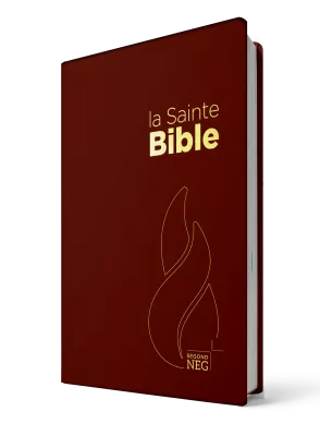 Bible NEG souple grenat