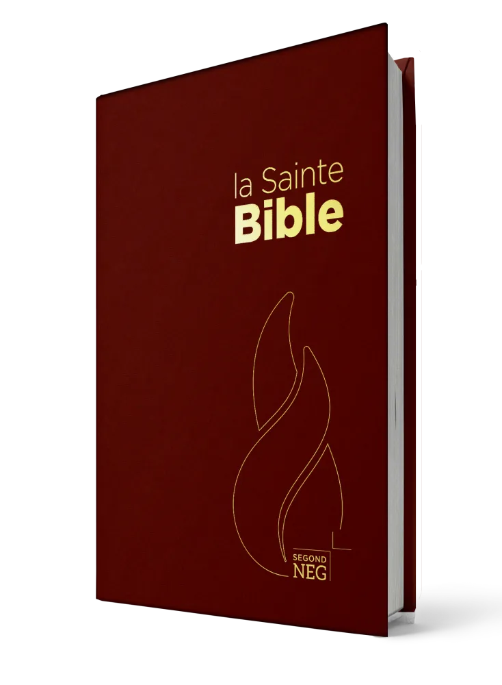 Bible NEG rigide grenat