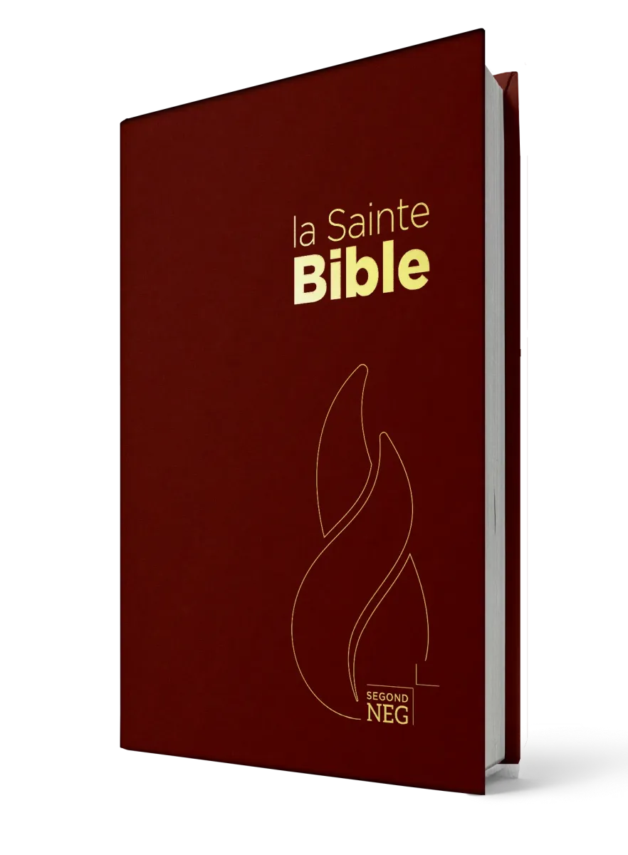 Bible NEG rigide grenat