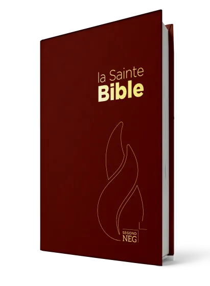 Bible NEG rigide grenat