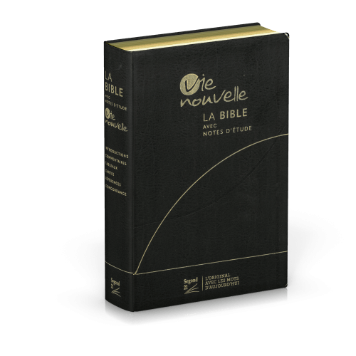 Bible SG21 Vie Nouvelle souple noire or