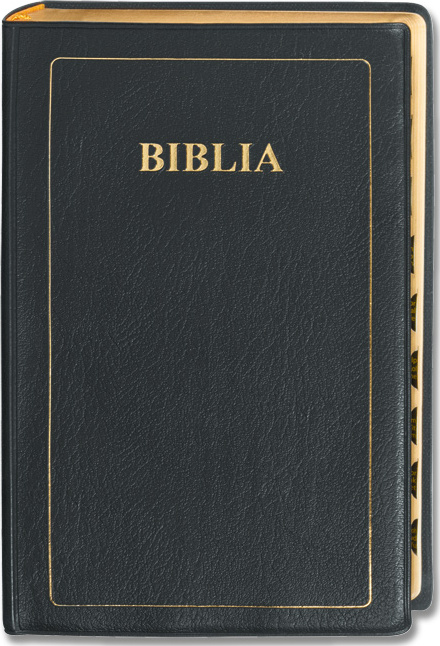 Bible Kiswahili standard onglets