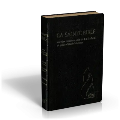Bible NEG Scofield noir or onglets