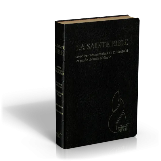 Bible NEG Scofield noir or onglets