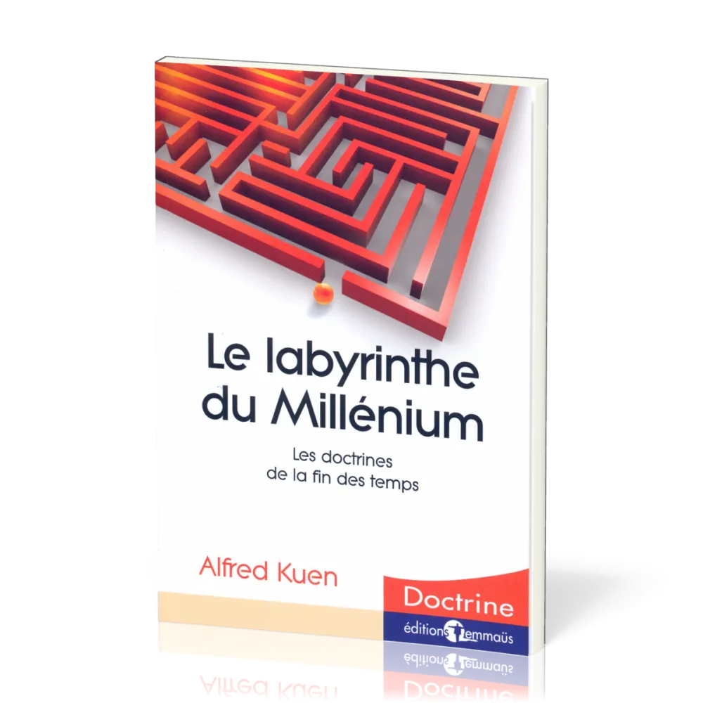 Labyrinthe du Millenium, Le