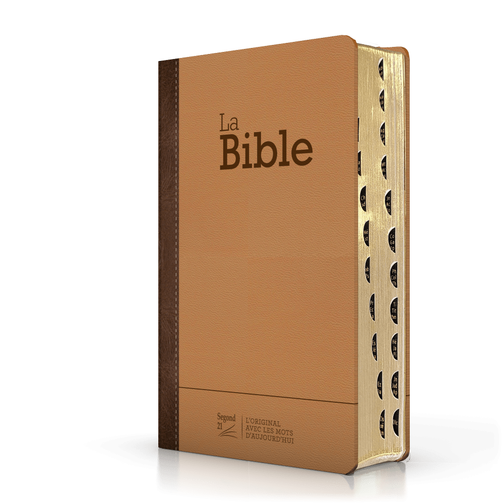 Bible SG21 praliné-chocolat duo cuir rigide or onglets