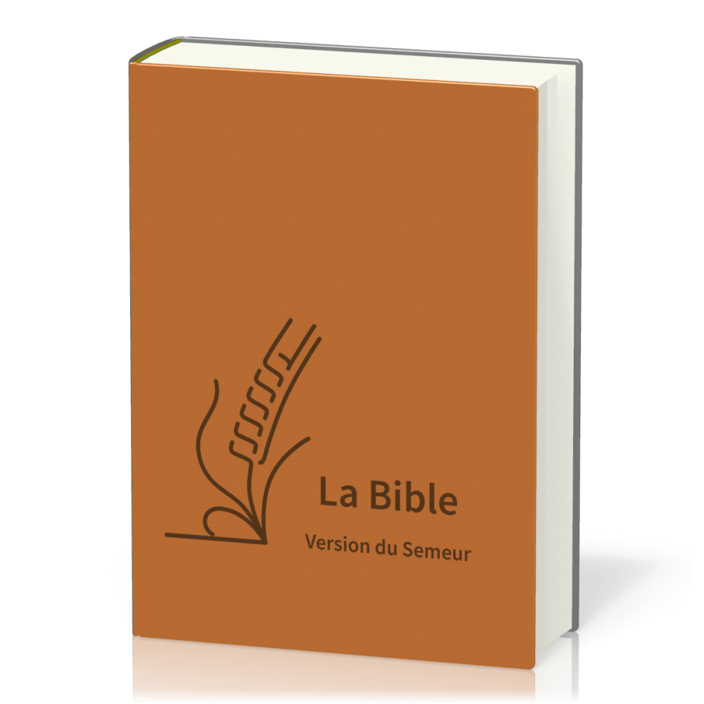 Bible Semeur gros caractères souple textile brun