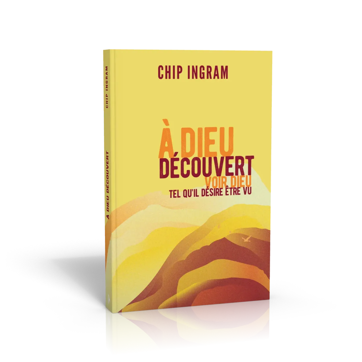 A Dieu découvert - Voir Dieu tel qu’il désire être vu