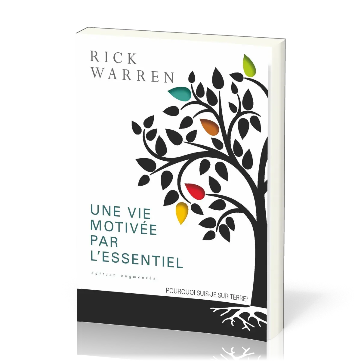 Vie motivée par l'essentiel, Une (2014) - Pourquoi suis-je sur terre ?