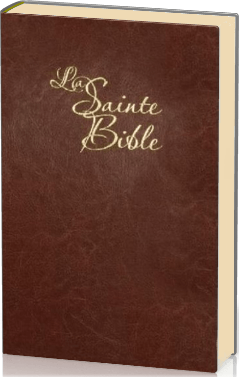 Bible Segond 1910 gros caractères souple marron or onglets