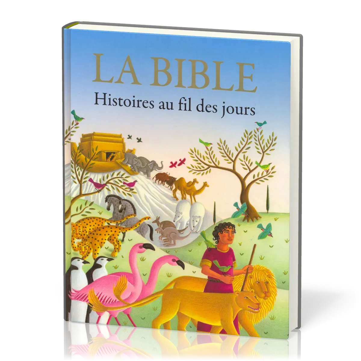 Bible, La - Histoires au fil des jours