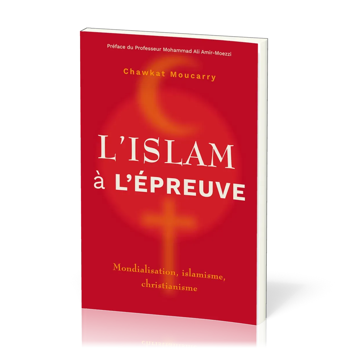 Islam à l'épreuve, L'