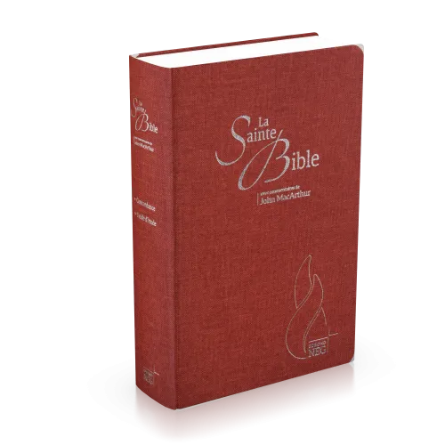 Bible NEG MacArthur souple textile carmin