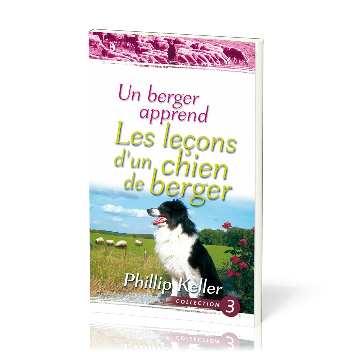 Berger apprend les leçons d'un chien de berger, Un