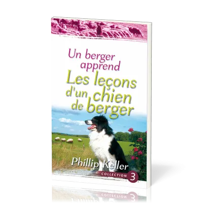 Berger apprend les leçons d'un chien de berger, Un