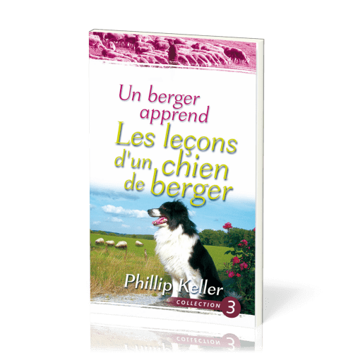 Berger apprend les leçons d'un chien de berger, Un