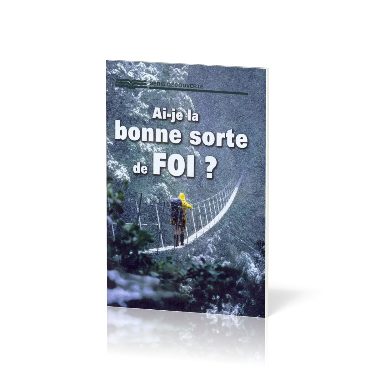 Ai-je la bonne sorte de foi ?