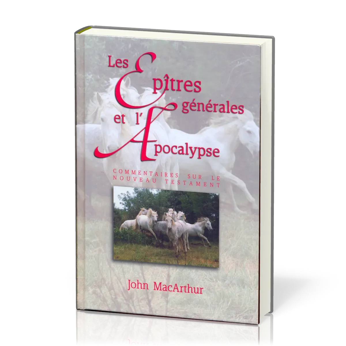 Epîtres générales et l'Apocalypse, Les