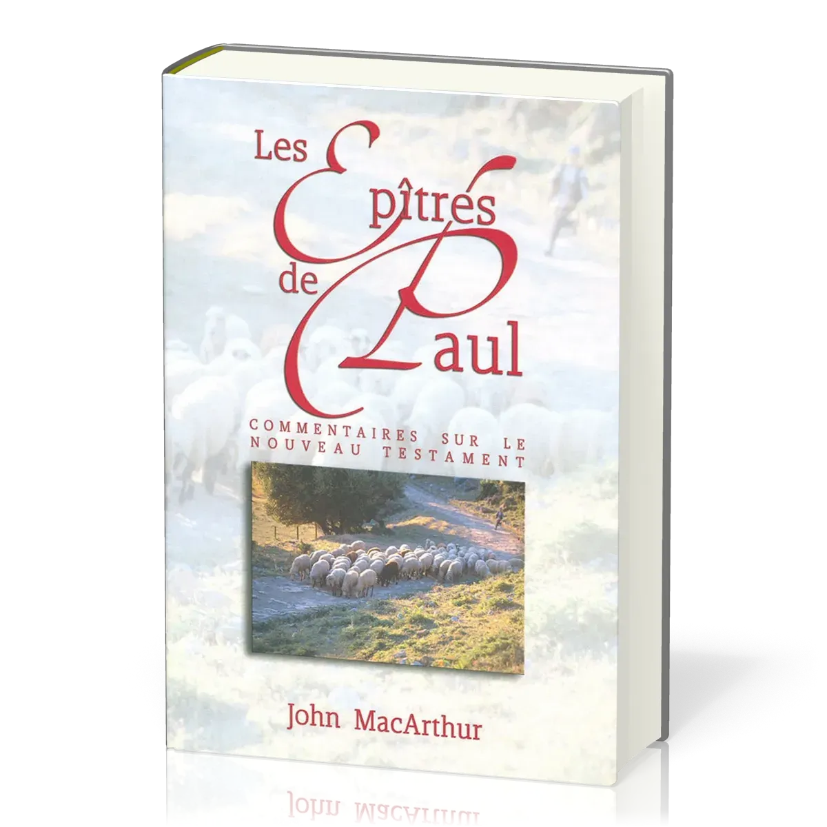 Epîtres de Paul, Les