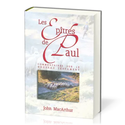 Epîtres de Paul, Les