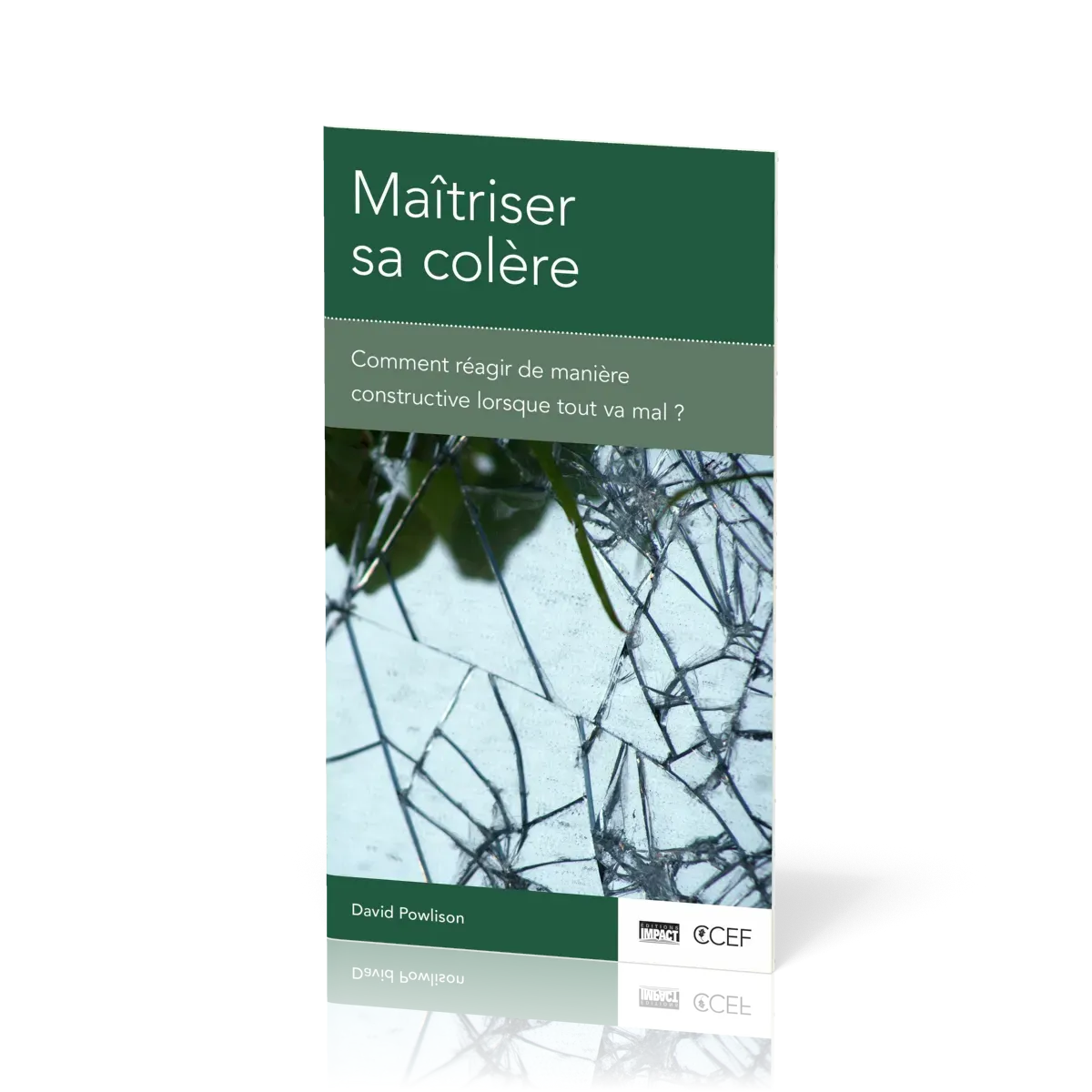 Maîtriser sa colère - Comment réagir de manière constructive lorsque tout va mal ?