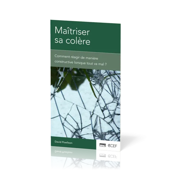 Maîtriser sa colère - Comment réagir de manière constructive lorsque tout va mal ?