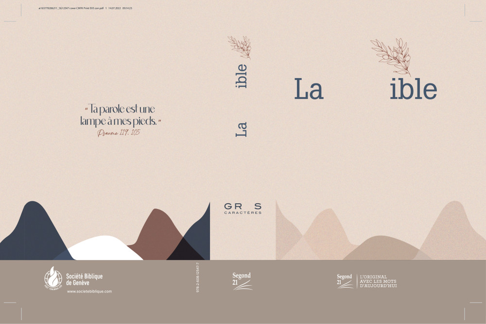 Bible SG21 gros caractères rigide toile matelassée beige