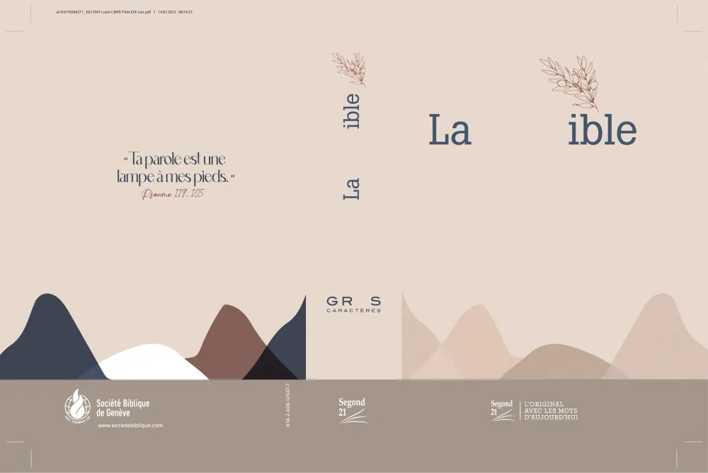 Bible SG21 gros caractères rigide toile matelassée beige